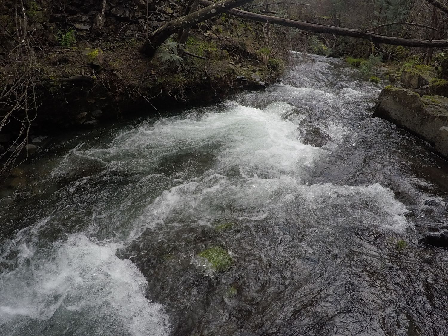 Am Fluss